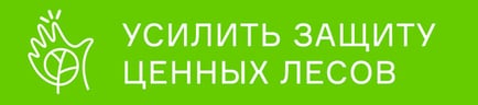 Усилить защиту ценных лесов